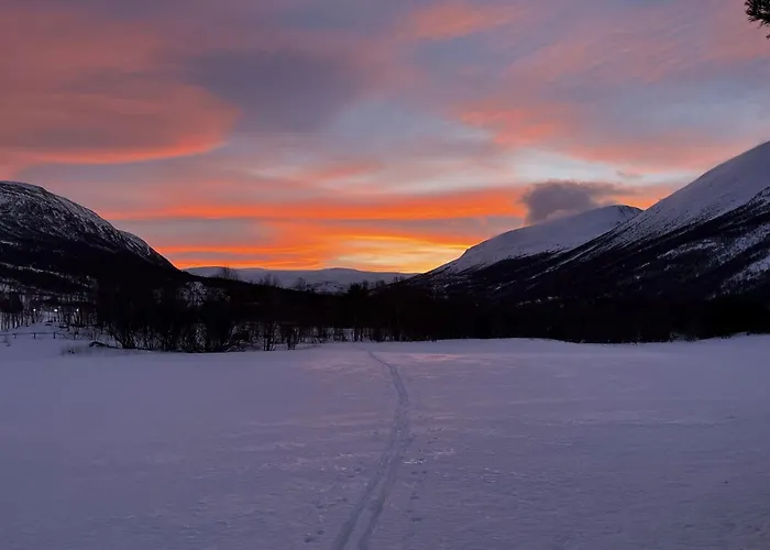 Familie Og Gruppevennlig Hus 12 Senger 240kvm Oppdal