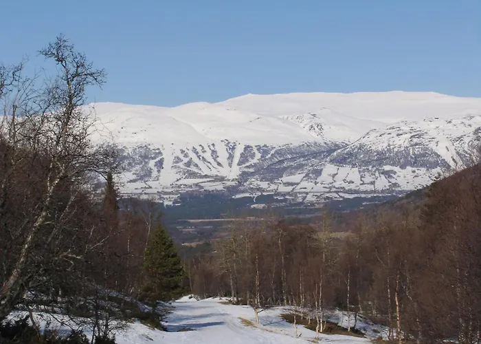 Familie Og Gruppevennlig Hus 12 Senger 240kvm Сasa de vacaciones Oppdal