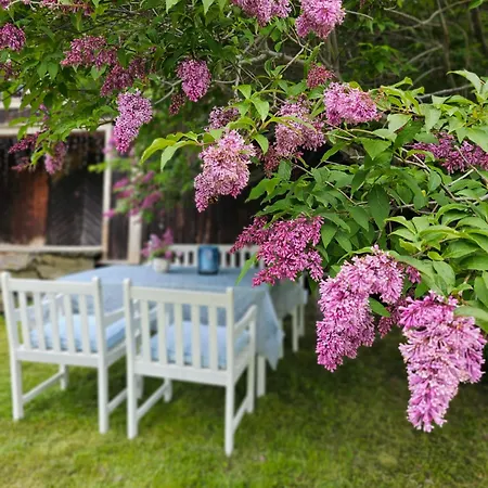 Historisk Sjarm Omringet Av Drivdalens Vakre