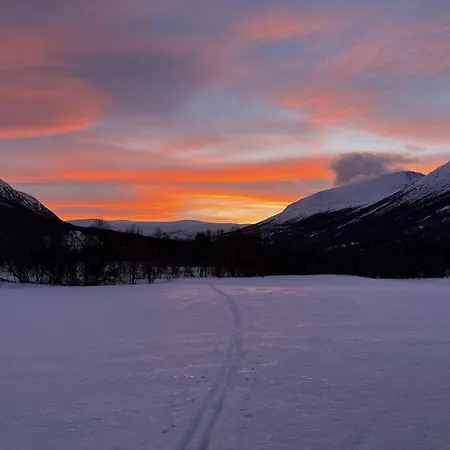 Historisk Sjarm Omringet Av Drivdalens Vakre Oppdal