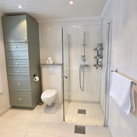 Historisk Sjarm Omringet Av Drivdalens Vakre Feriehus *